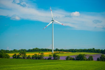 convocatórias STEP energia Portugal